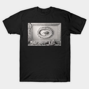 Astley Hall-Ceiling3 T-Shirt